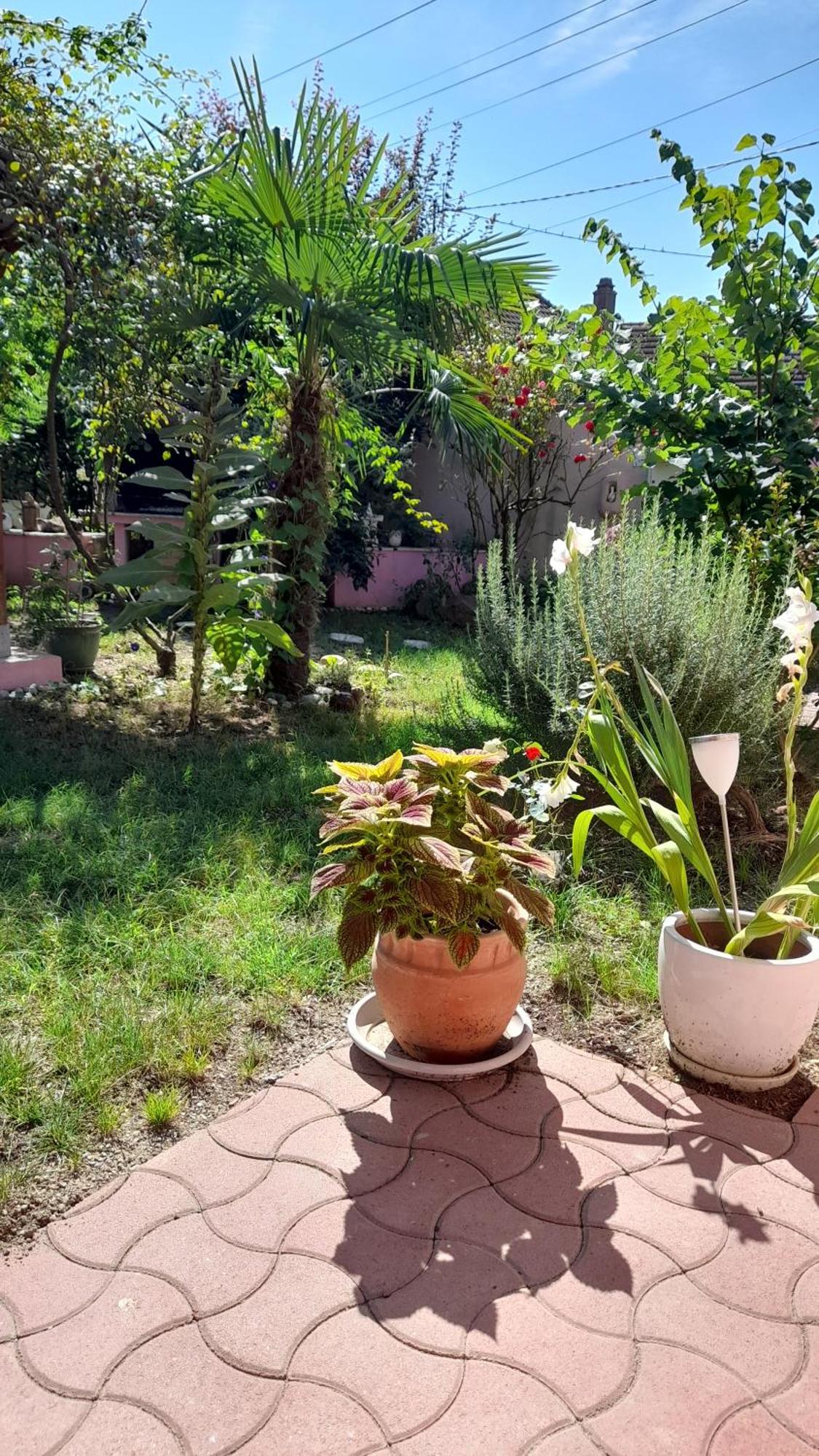 Venus Apartment Dessenheim Luaran gambar